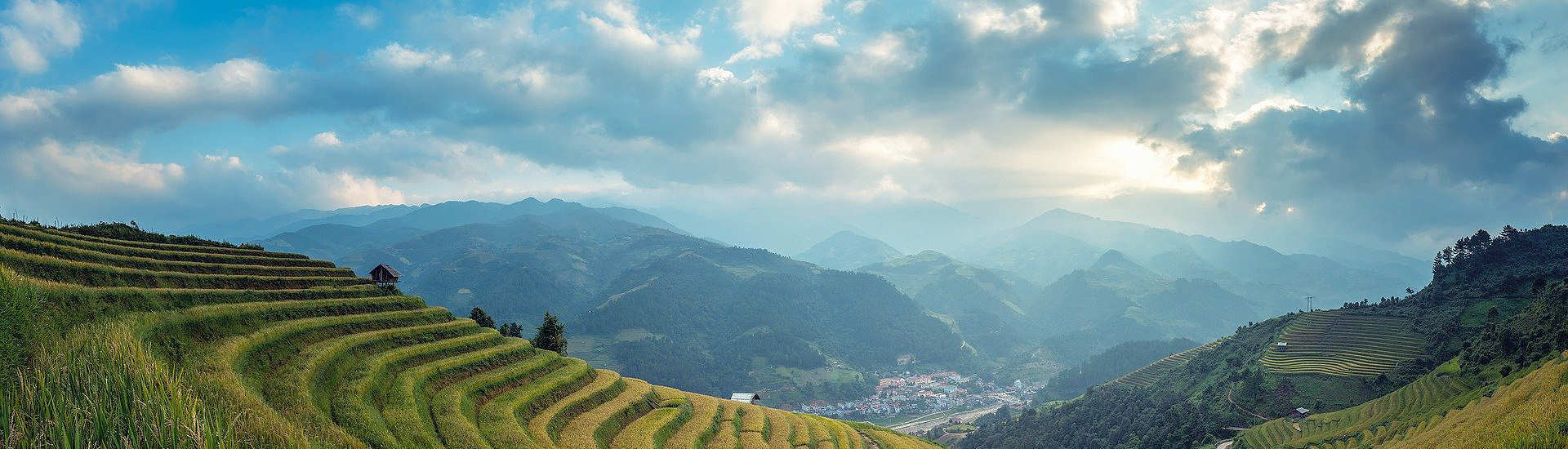 Reisterrassen auf Bali 