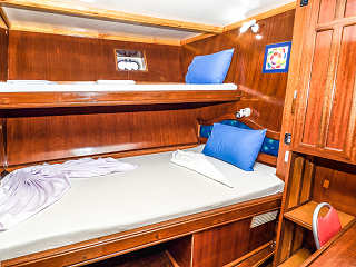 Blue Shark One Standard Kabine – Liveaboard Malediven
