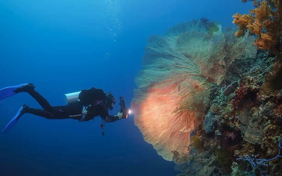 Tauchen Cabilao · Bohol, Philippinen 