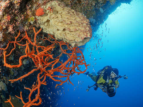 Tauchen im Cagayan Archipel · Sulusee Philippinen 