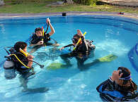 Grundübungen der Kinder im Pool des Mapia Resort Manado 