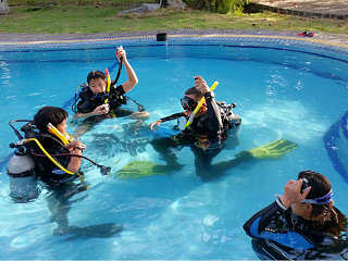 Grundübungen der Kinder im Pool des Mapia Resort Manado 