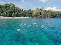 Schnorchelausflüge am Hausriff und weiteren Spots  · Tauchurlaub Sulawesi 