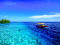 Tauchurlaub Raja Ampat 