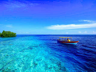 Tauchurlaub Raja Ampat 