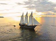 MSY Dewi Nusantara · Tauchsafaris Raja Ampat und Bandasee 