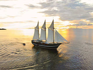 MSY Dewi Nusantara · Tauchsafaris Raja Ampat und Bandasee 