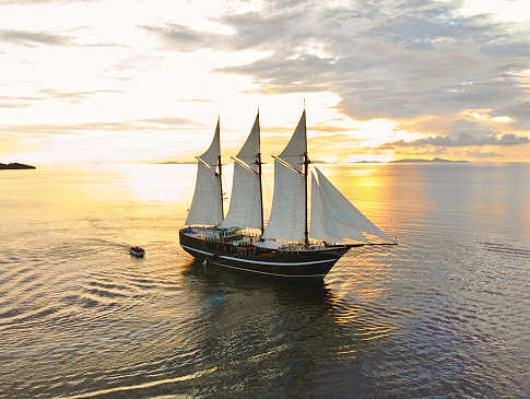MSY Dewi Nusantara · Tauchsafaris Raja Ampat und Bandasee 