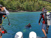 Bootstauchgang in der Lembeh Strait, Sulawesi 