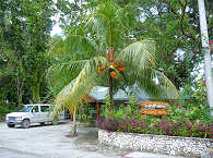 Dolphin Bay Resort – Peleliu 