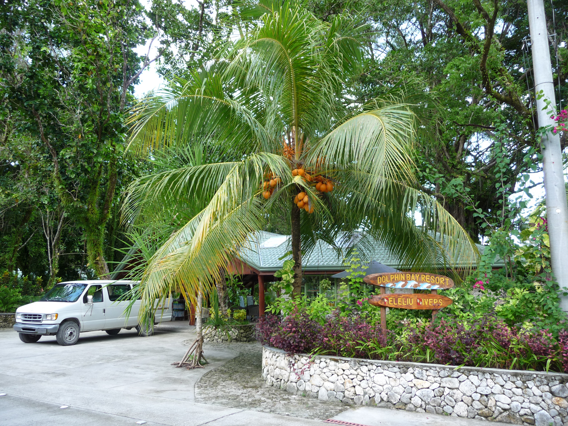 Dolphin Bay Resort - Peleliu, Palau | Scuba Native Tauchreisen