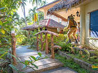 Garten am Dive Shop des Easy Diving Sipalay 