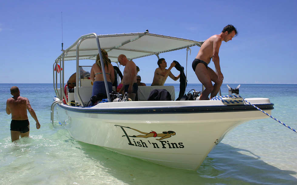 Tauchboot Fish ’n Fins Palau 
