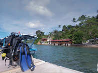 Bastianos Froggies Divers Lembeh 