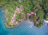 Froggies Divers Resort Lembeh 