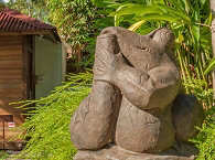 Froggies Divers Resort auf Lembeh 