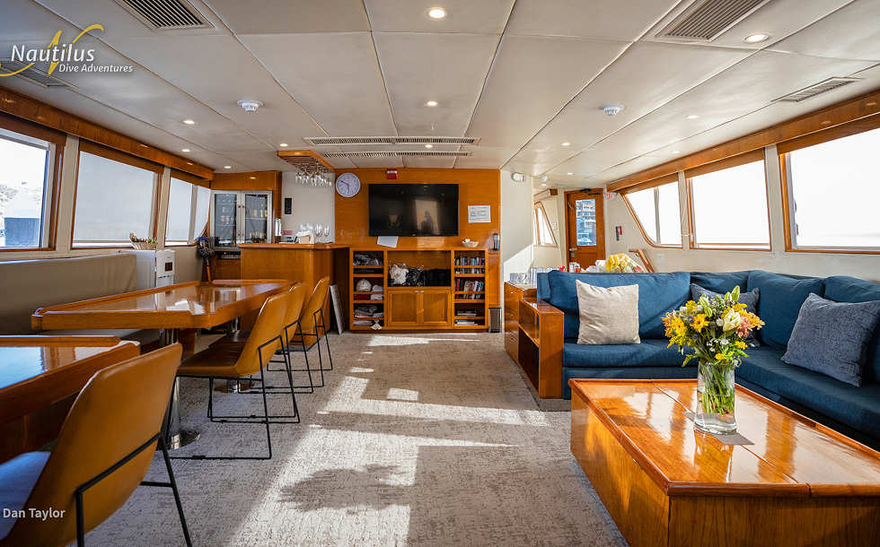 Salon auf dem Hauptdeck · Nautilus Gallant Lady Liveaboard Mexiko 