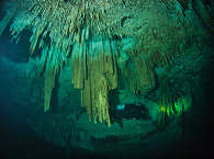 Höhlentauchen in Yucatán 