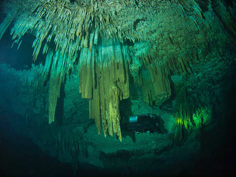 Höhlentauchen in Yucatán 