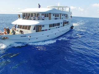 MV Keana · Safariboot Malediven 
