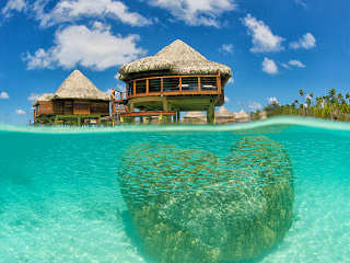 Wasserbungalows auf Stelzen 