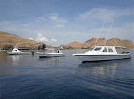 Schnellboote Tauchbasis Komodo 1 bis 3 