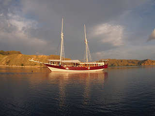 Duyung Baru – Tauchsafaris um Komodo, Indonesien 
