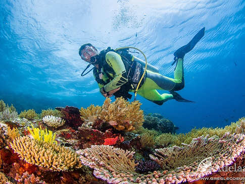 Tauchen in Indonesien 