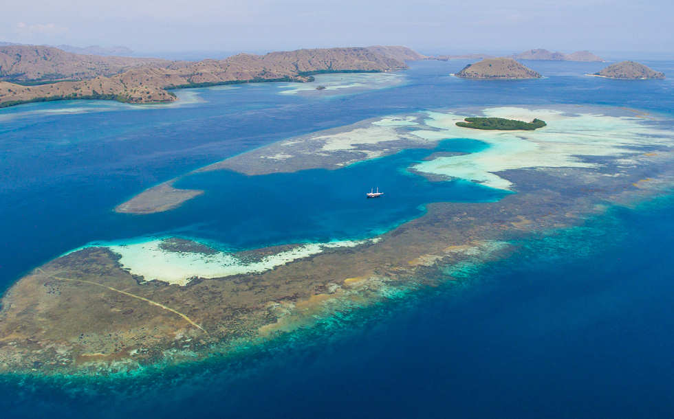 Makassar Reef ·  Komodos Manta Point · Tauchsafaris Indonesien 