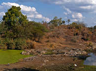 Kruger Nationalpark – Südafrika 