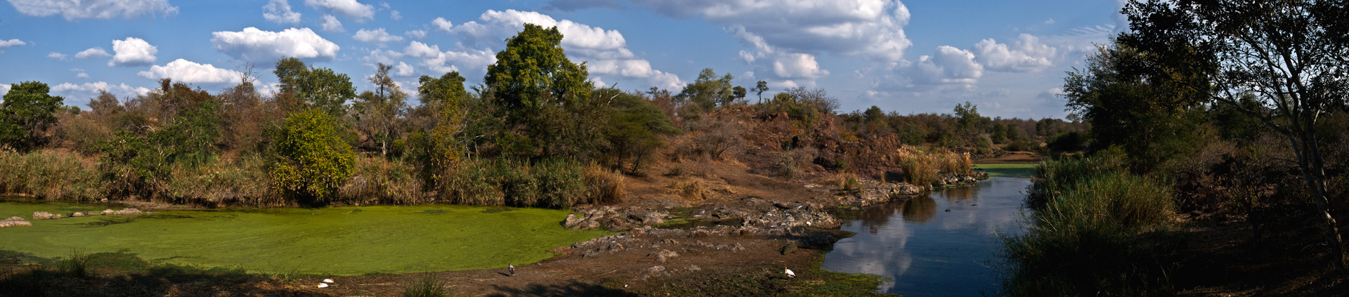 Kruger Nationalpark – Südafrika 