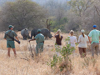 Safari Wanderung im Kruger Nationalpark – Südafrika 