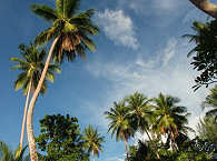 Lissenung Island – Papua Neuguinea 