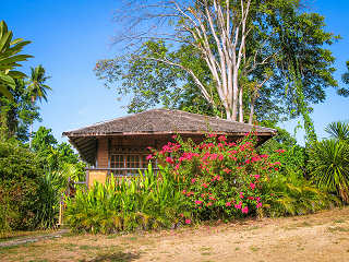 Bungalow im Living Colours Dive Resort – Bunaken Marine Park 