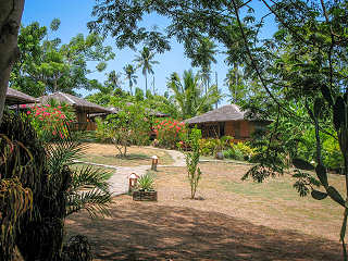 Living Colours Dive Resort – Nord Sulawesi, Indonesien 
