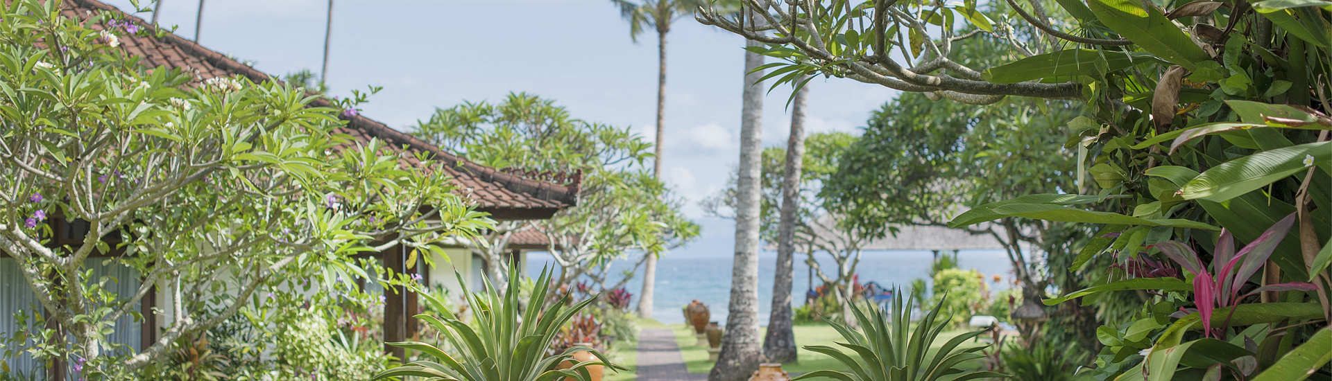 Gartenanlage der Lotus Bungalows 