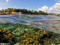 Tauchresort Moalboal 
