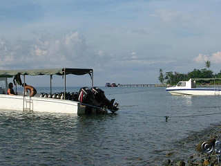 Maluku Divers Ambon – Indonesien 