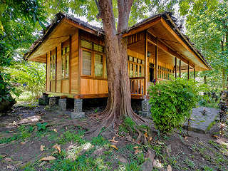 Garden View Bungalow des Mapia Resort & Spa 