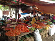 Markt in Nord-Sulawesi (Amurang) 