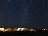 Grauwal-Camp San Ignacio 