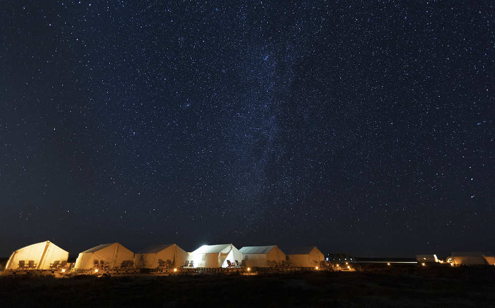 Grauwal-Camp San Ignacio 
