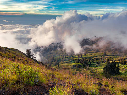 Wildes Hochland des Stammes der Minahasa 
