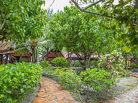 Garten im Inneren des Motu Aito in Fakarava 