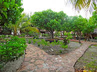 Garten des Motu Aito in Fakarava 