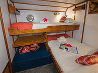 Twinbed-Kabine der Febrina · Liveaboard Papua-Neuguinea  