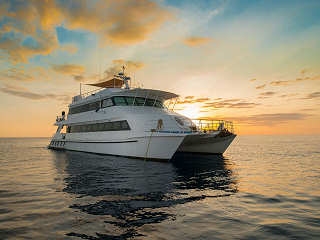 MV Oceania · Tauchkreuzfahrten Papua-Neuguinea 