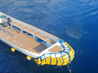 eines der beiden acht Meter langen Tauchboote + Walhai 