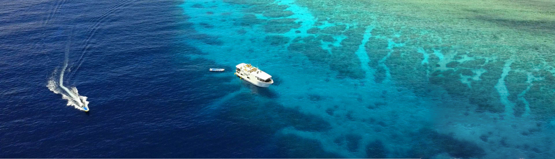 Tauchsafari Tubbataha Reefs und Visayas 