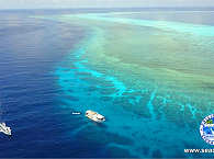 Tauchsafari Tubbataha Reefs und Visayas 
